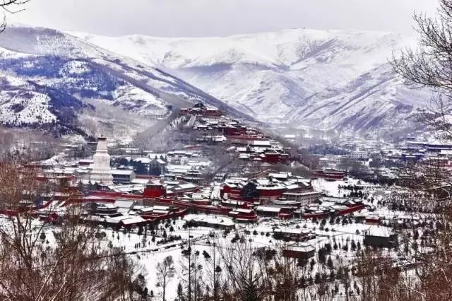 山西天罡赴佛教圣地五臺(tái)山為您祈福